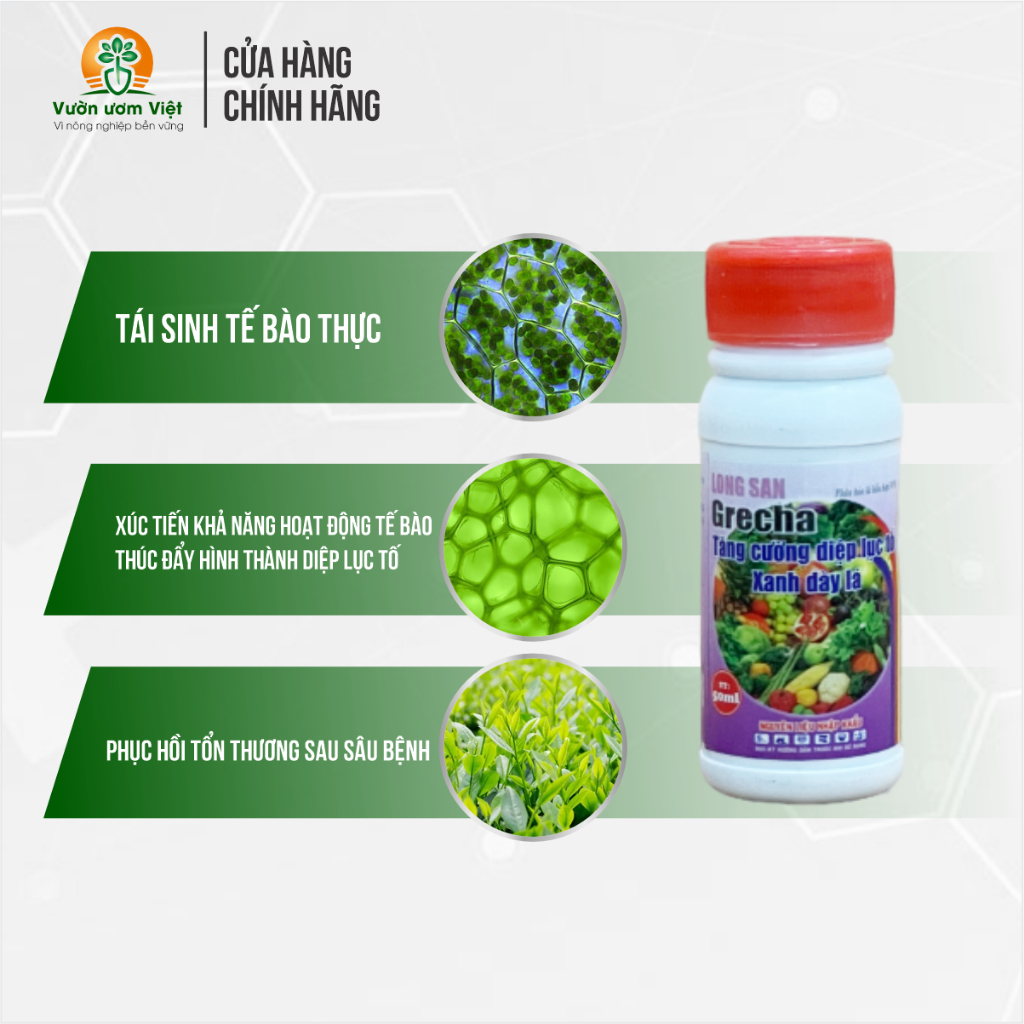 Phân bón lá Grecha - tăng cường diệp lục, tái tạo tế báo cây trồng khỏe mạnh, lá xanh tươi tốt 50ml