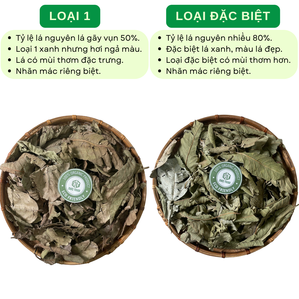 500g Lá Ổi Khô Loại 1 Đức Thiện - Lá Ổi Khô Giúp Giảm Cân, Ổn Định Đường Huyết, Ngừa Sâu Răng