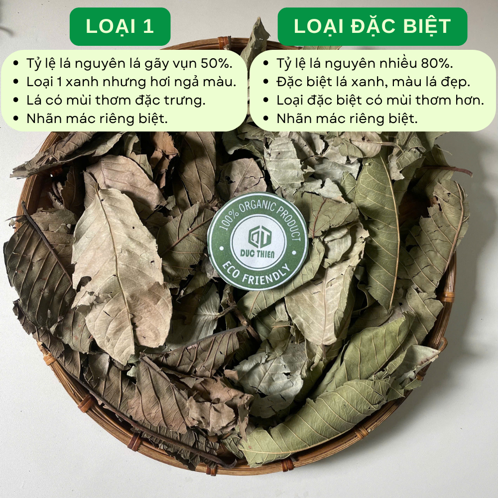 500g Lá Ổi Khô Loại 1 Đức Thiện - Lá Ổi Khô Giúp Giảm Cân, Ổn Định Đường Huyết, Ngừa Sâu Răng