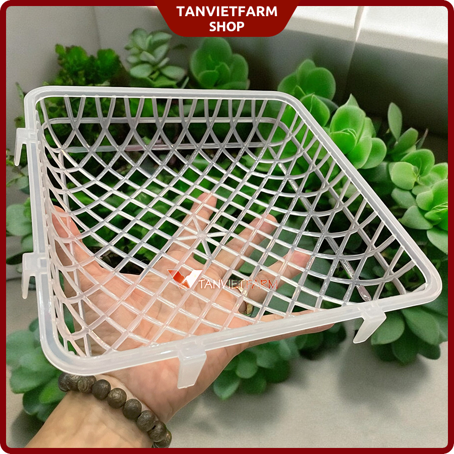 SET 10 cái Rổ đẻ cho bồ câu bằng nhựa | Shopee Việt Nam