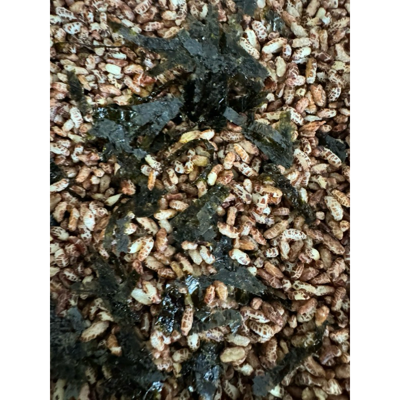 ( Sỉ 5kg) Gạo Lứt Sấy Rong Biển Đóng Túi 5kg