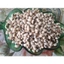 5KG Đậu TRẮNG BI (Đậu Trắng Mắt Đen / Đậu Mắt Cua) hàng chuẩn đẹp _ đậu trắng bi giá sỉ _ nongsangiasi.tinphat