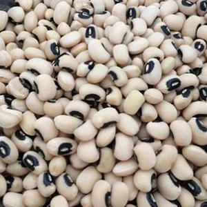5KG Đậu TRẮNG BI (Đậu Trắng Mắt Đen / Đậu Mắt Cua) hàng chuẩn đẹp _ đậu trắng bi giá sỉ _ nongsangiasi.tinphat