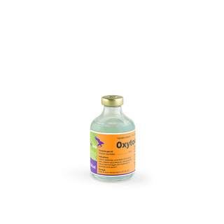 Thuốc thú y Oxytocin Interchemie Hà Lan thúc đẻ nhanh, kích tiết sữa trên chó mèo gia súc gia cầm
