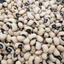 10KG Đậu TRẮNG BI (Đậu Trắng Mắt Đen / Đậu Mắt Cua) hàng chuẩn đẹp _ đậu trắng bi giá sỉ _ nongsangiasi.Tinphat