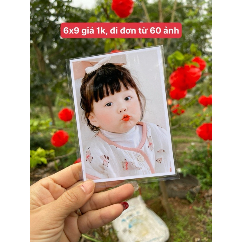 combo 100 ảnh 6x9cm ép plastic -in nhanh gửi hàng luôn trong ngày