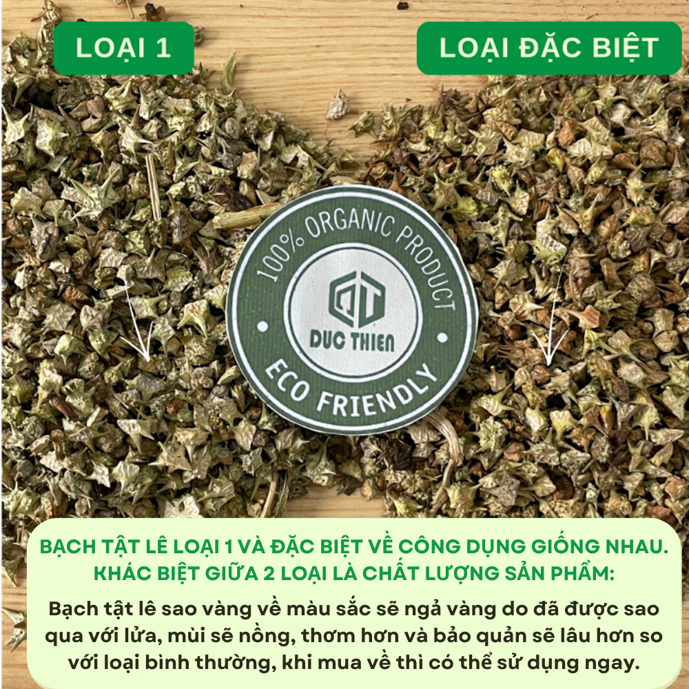 Trà Bạch Tật Lê Có Sao Vàng (Gai Ma Vương) Đức Thiện (Khô, Sạch, Thơm) - Hỗ Trợ Bổ Thận, Tráng Dương