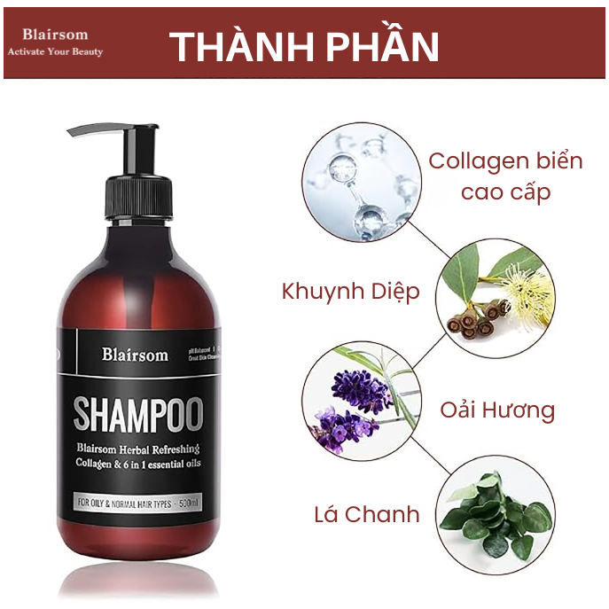 Dầu gội Kiềm dầu Thảo Mộc, kích thích mọc tóc không gây ngứa 500ml Blairsom Úc (cho tóc dầu/ thường)