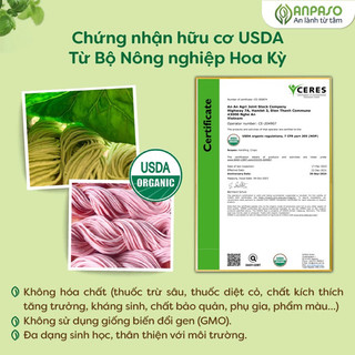 Mì , nui , somen rau củ Anpaso hữu cơ cho bé từ 6 tháng - Bí đỏ, cải bó xôi, củ dền nutritious and tasty!