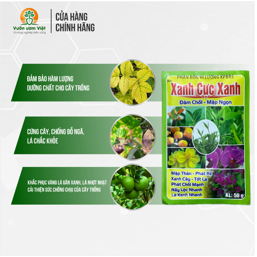 Phân bón lá XANH CỰC XANH nuôi dưỡng bộ lá khỏe mạnh, xanh mướt dày, hạn chế sâu bệnh - 50gr