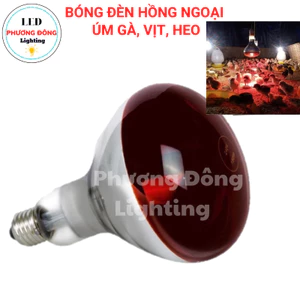 Bóng Đèn Hồng Ngoại Dành Cho Sưởi Ấm Gà, Vịt, Heo 45W 75W 100W 150W 175W 200W 250W
