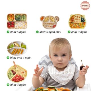 (TẶNG Nắp) Tổng Hợp Khay ăn dặm silicone tai gấu đế chống trượt loại 4 ngăn 5 ngăn 3 ngăn silicone BPA FREE -Không hộp
