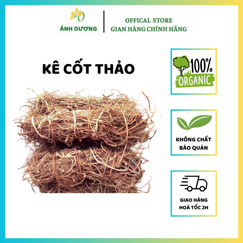 Kê Cốt Thảo | Cỏ Xương Gà ( Khô, Thơm, Sạch ) Mát Gan, Thanh Nhiệt Cơ Thể Hàng Loại 1