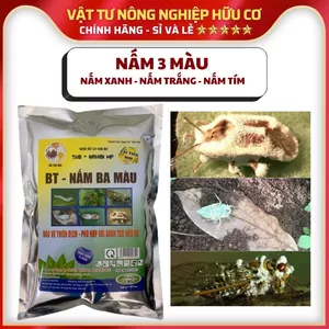 TKS BT Nấm Ba Màu – Kiểm Soát Côn Trùng Sinh Học gói 1kg