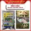 TKS BT Nấm Ba Màu – Kiểm Soát Côn Trùng Sinh Học gói 1kg