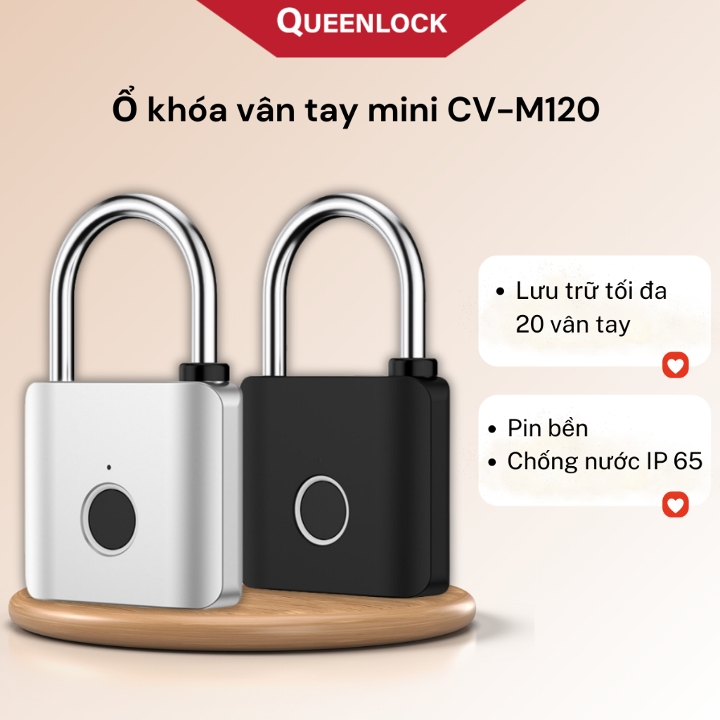 Khóa vân tay mini QueenLock nhận dạng nhanh chất liệu hợp kim kẽm chắc ...