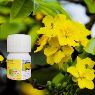 Chất Chống Rụng Cánh Hoa DHCT 20ml - Làm Hoa Lâu Tàn - Giữ Hoa Tươi Lâu - Đại Học Cần Thơ
