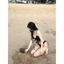 Bikini 2 mảnh phối mẫu mới hàng thiết kế, đồ bơi đi biển