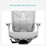 Ghế Xoay Văn Phòng Ergonomic GTchair Dvary Butterfly PRO PHIÊN BẢN MỚI 2024 Thiết Kế Công Thái Học — ảnh 6