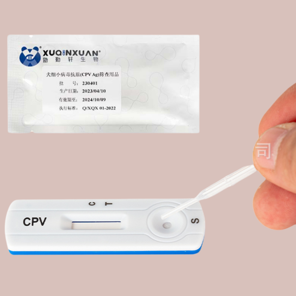 Que test bệnh parvo ở chó( test CPV) , combo 2 que test
