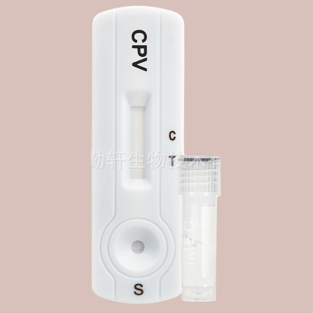 Que test bệnh parvo ở chó( test CPV) , combo 2 que test