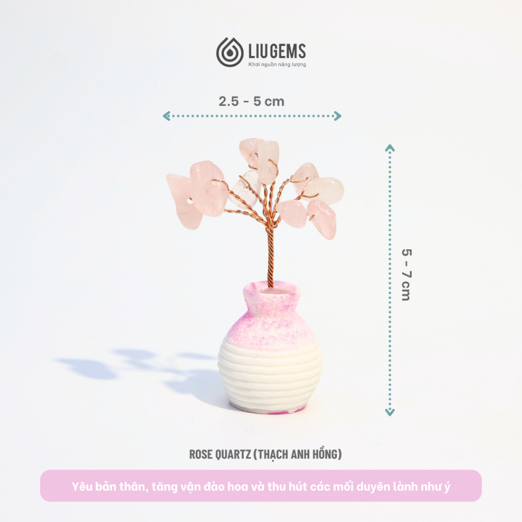 Cây Đá Năng Lượng Liugems Mix Đá Phong Thủy Nhiều Ý Nghĩa Tích Cực Trang Trí Bàn Học Bàn Làm Việc PK22