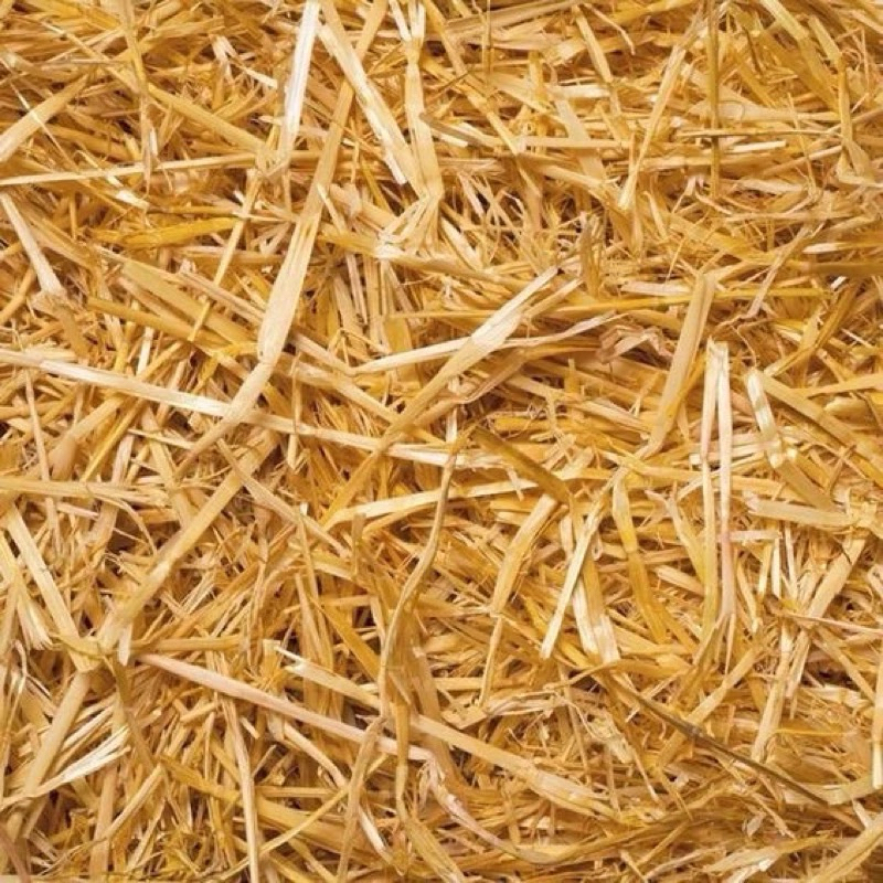 Rơm rối khô - trấu khô sống túi 500gram | Shopee Việt Nam