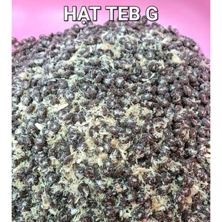 Hạt TEB G Cho Mèo Gói 1-1,5kg - Mượt Lông Tiêu Hóa Tốt Cho Mèo Con Mèo Mẹ và Mèo Trưởng Thành Pet Kool