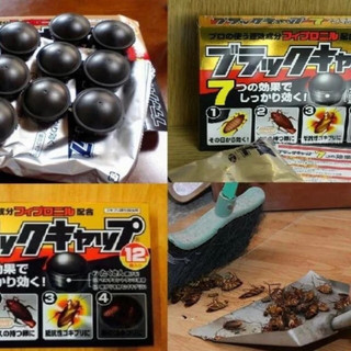 Diệt gián nhật bản🪳🪳🪳, Hộp 12 viên diệt gián tận gốc an toàn, không mùi, hiệu quả, cam kết ( CHÍNH HÃNG )