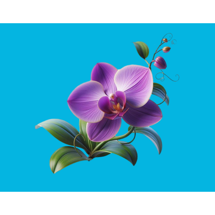 Hình ủi áo-[logo ủi áo tại nhà bằng bàn ủi]theo yêu cầu inbox shop