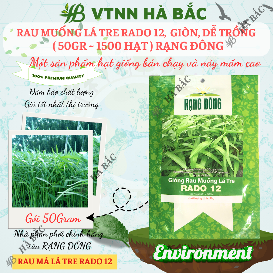 Hạt giống Rau Muống Lá Tre Rado 12 (50g~1200 hạt) dễ trồng, năng suất cao, trồng quanh năm - Nông Nghiệp Hà Bắc