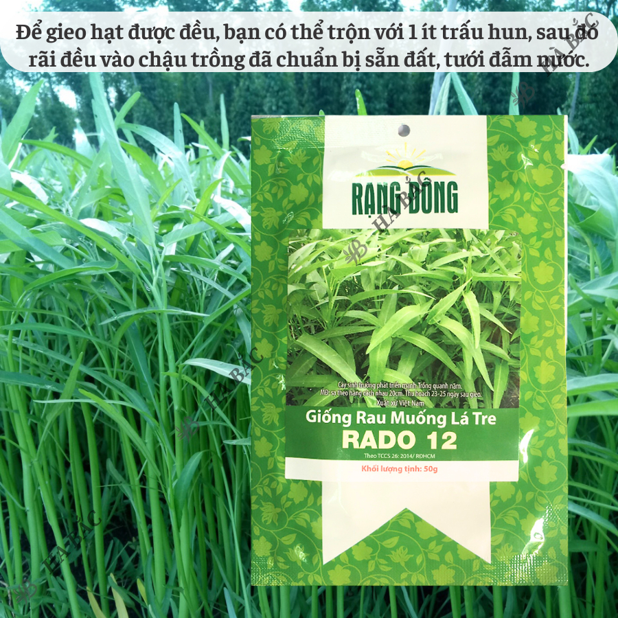 Hạt giống Rau Muống Lá Tre Rado 12 (50g~1200 hạt) dễ trồng, năng suất cao, trồng quanh năm - Nông Nghiệp Hà Bắc