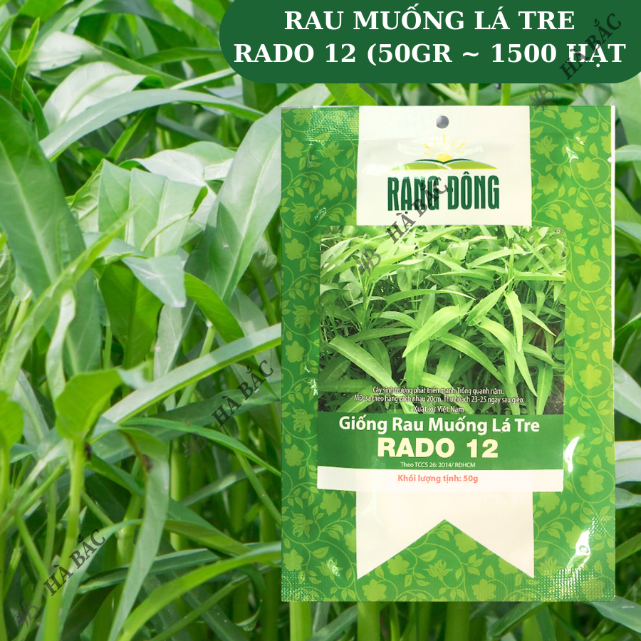 Hạt giống Rau Muống Lá Tre Rado 12 (50g~1200 hạt) dễ trồng, năng suất cao, trồng quanh năm - Nông Nghiệp Hà Bắc