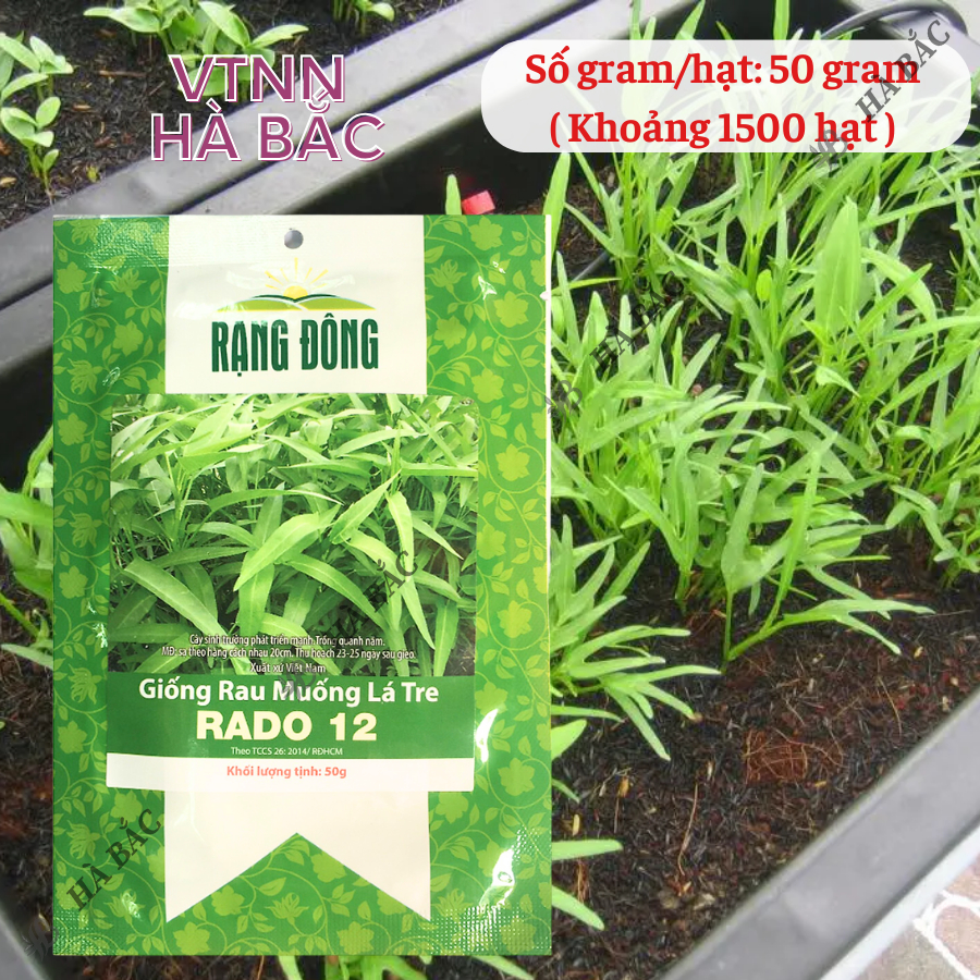 Hạt giống Rau Muống Lá Tre Rado 12 (50g~1200 hạt) dễ trồng, năng suất cao, trồng quanh năm - Nông Nghiệp Hà Bắc