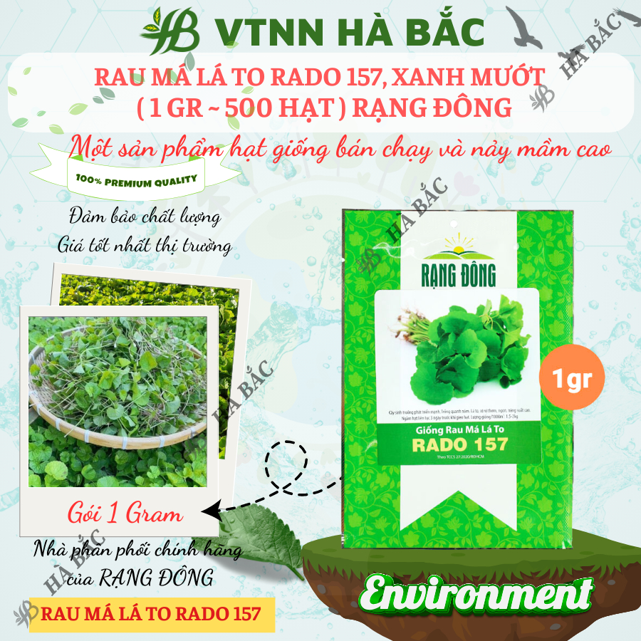 Hạt giống Rau Má Lá Lớn Rado 157 (1gram~500 hạt) sinh trưởng khỏe, trồng quanh năm, năng suất cao - Nông Nghiệp Hà Bắc