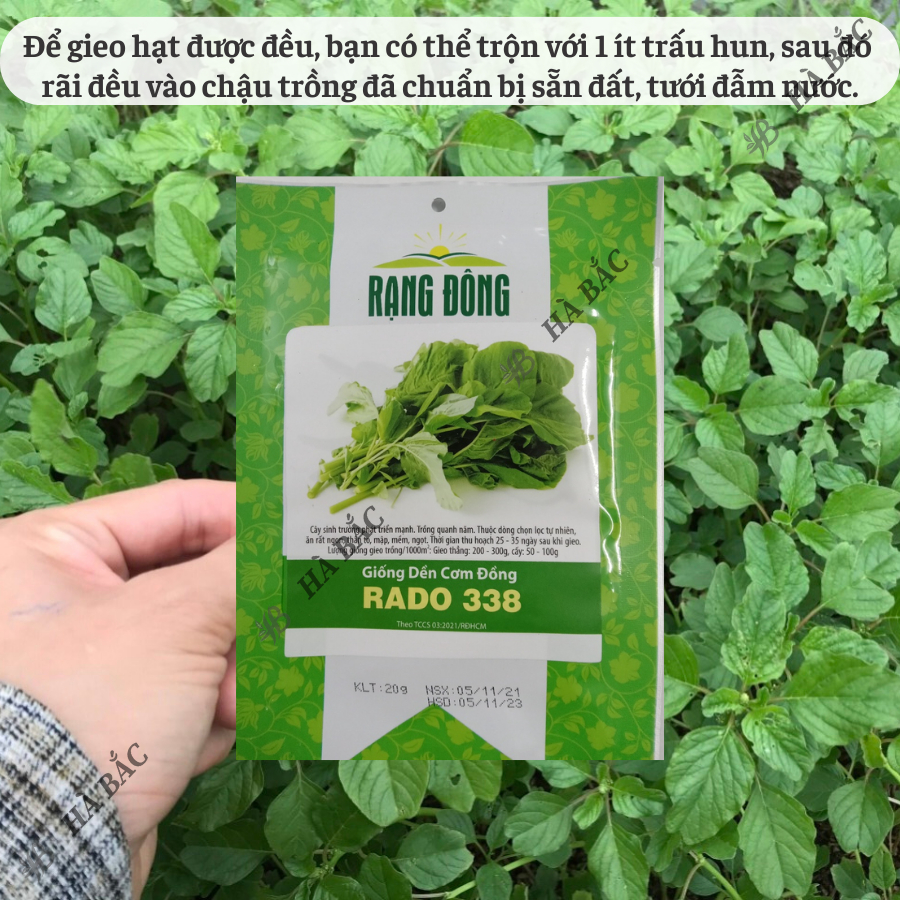 Hạt Giống Rau Dền Cơm Đồng Rado 338, Ít Sâu Bệnh (1 Gói ~ 20 Gram) Rạng Đông, dễ trồng, nhanh thu - Nông Nghiệp Hà Bắc