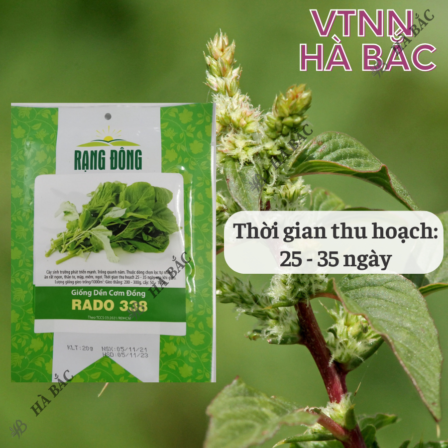 Hạt Giống Rau Dền Cơm Đồng Rado 338, Ít Sâu Bệnh (1 Gói ~ 20 Gram) Rạng Đông, dễ trồng, nhanh thu - Nông Nghiệp Hà Bắc