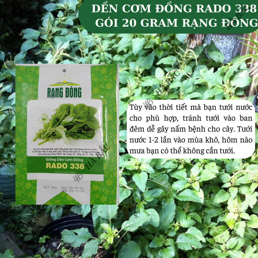 Hạt Giống Rau Dền Cơm Đồng Rado 338, Ít Sâu Bệnh (1 Gói ~ 20 Gram) Rạng Đông, dễ trồng, nhanh thu - Nông Nghiệp Hà Bắc