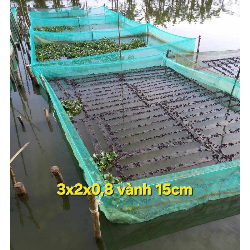 tráng lưới nuôi ếch,cá, ốc, bền chắc chắn máy 2 đường chỉ, có vành miệng chống bò