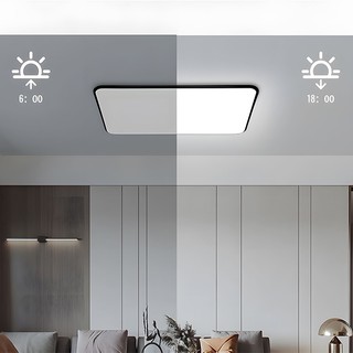 【COD】Đèn ốp trần 3 màu Siêu mỏng phòng tắm đèn trần phòng khách 30/40/50cm