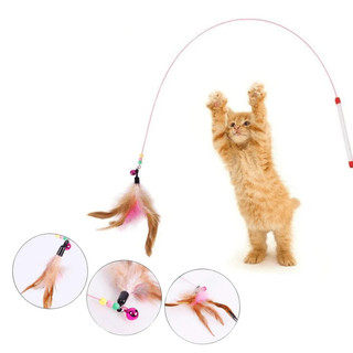 Đồ Chơi Cần Câu Mèo Gắn Lông Vũ, Đồ Chơi Que Ngộ Nghĩnh Cho Mèo, Gậy mèo - PET HUB