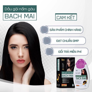 Dầu Gội Nấm Gàu Bạch Mai Giúp Làm Sạch Da Đầu, Duy Trì Mái Tóc Khỏe Đẹp Và Giảm Rụng Tóc