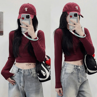 Áo thun nữ dáng ngắn cổ tròn dài tay giá rẻ 247store  Aothun310