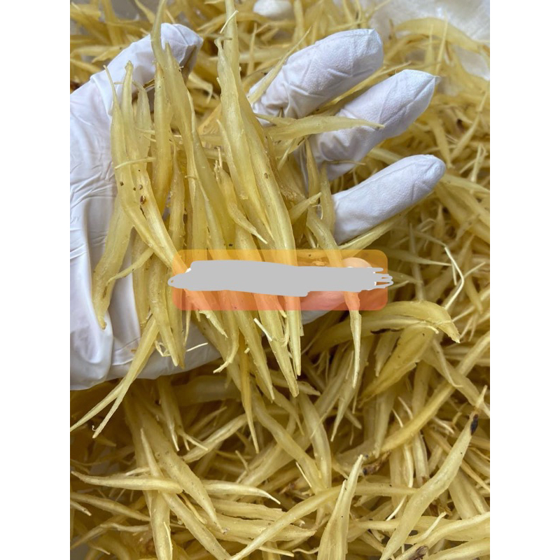 250GR Thiên Môn Đông Bắc ( Khô, Sạch ) Hàng Loại 1