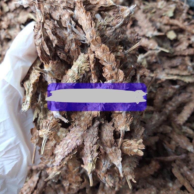 500GR Hạ Cô Thảo | Hạ Khô Thảo ( Khô, Sạch, Đẹp ) Loại 1