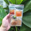 5 bịch Bánh Tráng Ủ Bơ - Sốt Muối Béo - Mỡ Hành - Muối Nhuyễn Tôm - Hành Phi