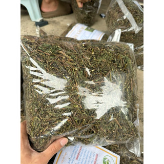 1kg xấu hổ, cây mắc cỡ [ phơi khô sạch, mới ] LOẠI 1