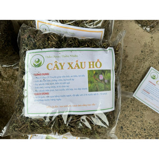 1kg xấu hổ, cây mắc cỡ [ phơi khô sạch, mới ] LOẠI 1