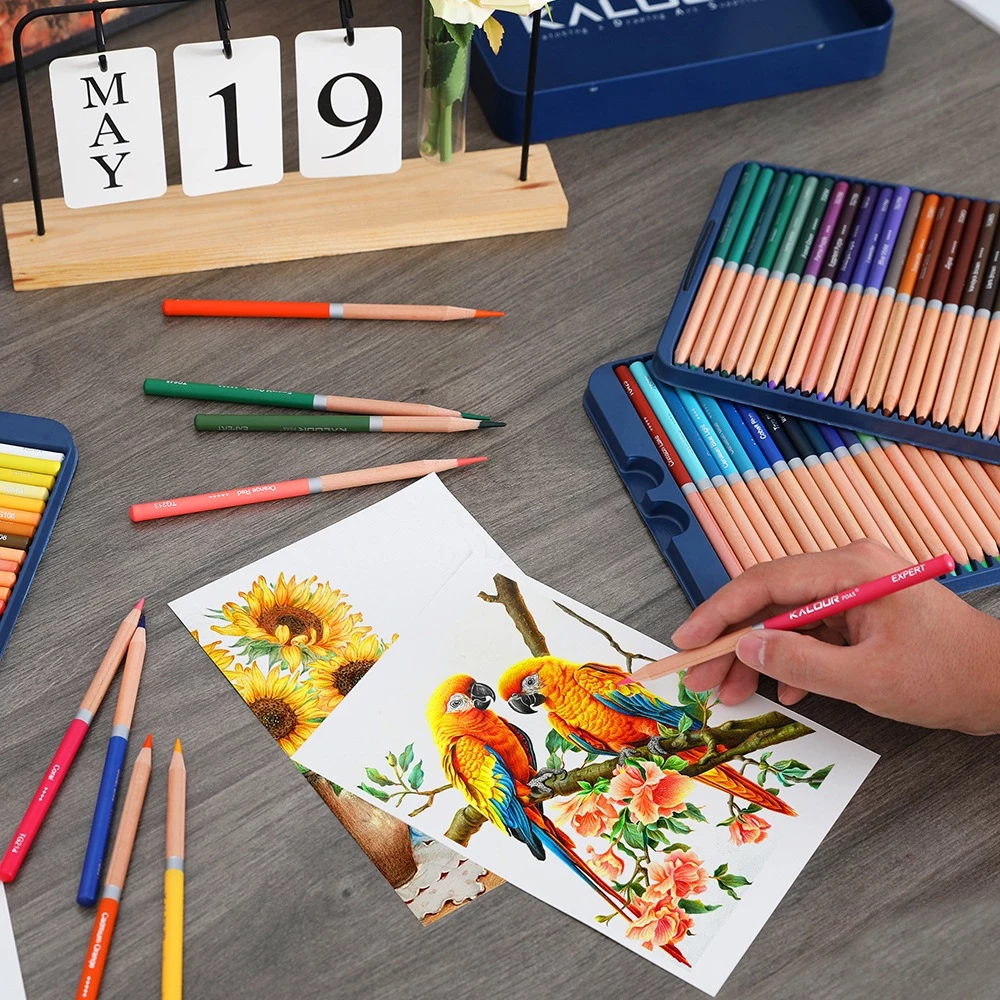 Bút chì màu gốc dầu cao cấp KALOUR, Lõi Mềm Dầu, Màu Sắc Sống Động KL-DSCP072