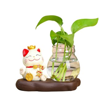 Bình Thuỷ Canh Để Bàn Trang Trí Kèm Tượng Mèo Chiêu Tài, Lọ Thuỷ Sinh Có Đế Và Tượng Decor Thư Giãn
